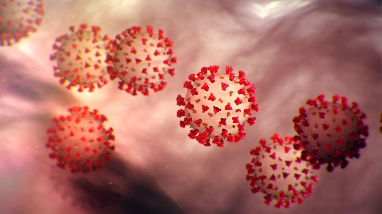 Useful: Double mask reduces exposure to the Covid19 by nearly 95 per cent | Use of soap kills Virus