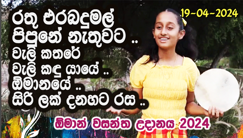 රතු එරබදුමල් පිපුනේ නැතුවට වැලි කතරේ වැලි කඳු යායේ. ඕමානයේ සිරි ලක් | Oman  Wasantha Udanaya 2024