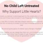 Help the construction of Lady Ridgeway Hospitalโs Cardiac and Critical Care Complex